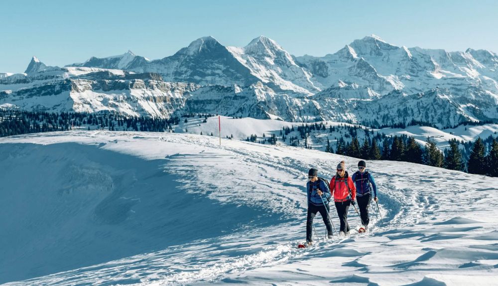 lombachalp schneeschuhlaufen winter eiger moench jungfau panorama