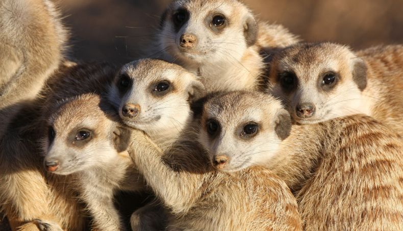 iStock 157338885