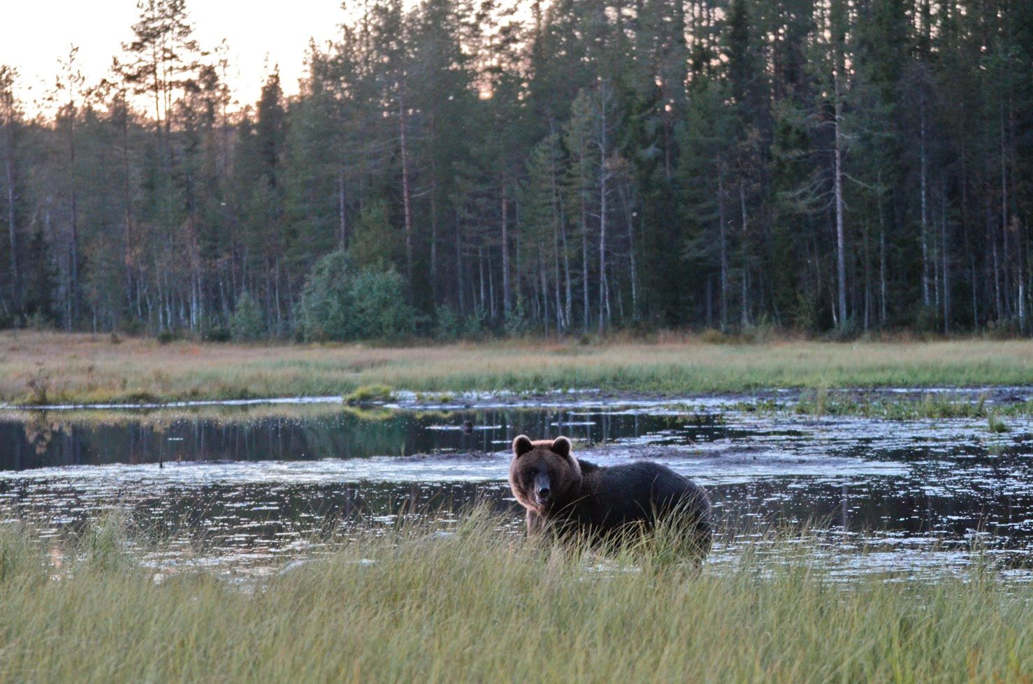 Finlandia en 15 fotografías