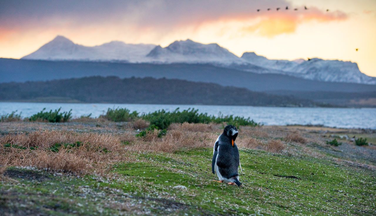 Tierra del Fuego