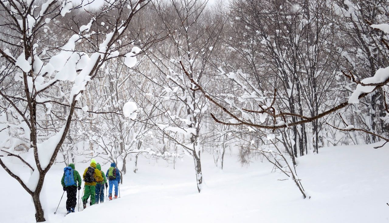 Skimo en Hokkaido
