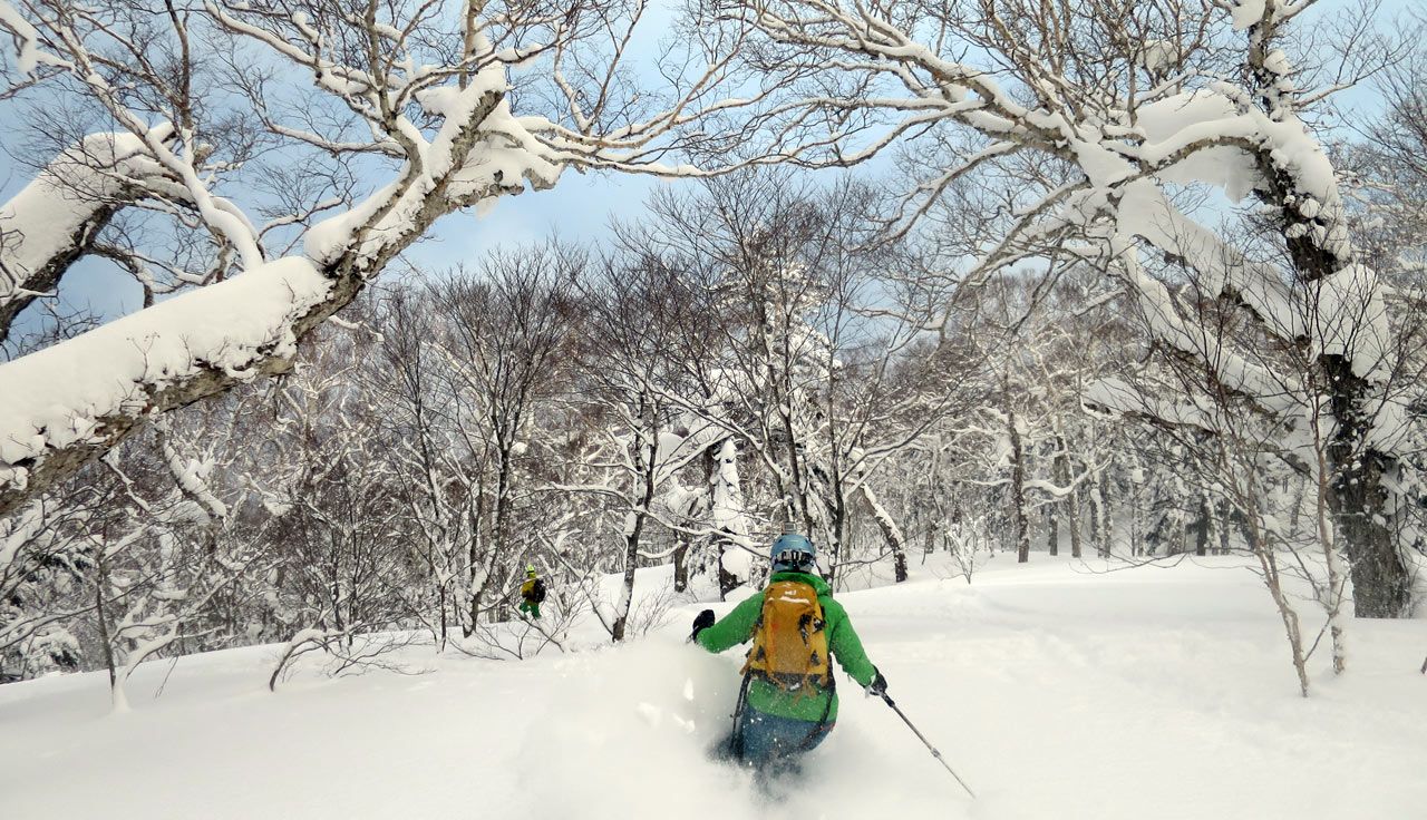 Skimo en Hokkaido