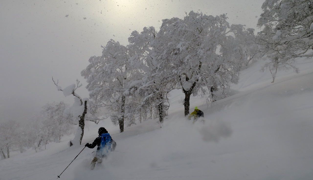 Skimo en Hokkaido