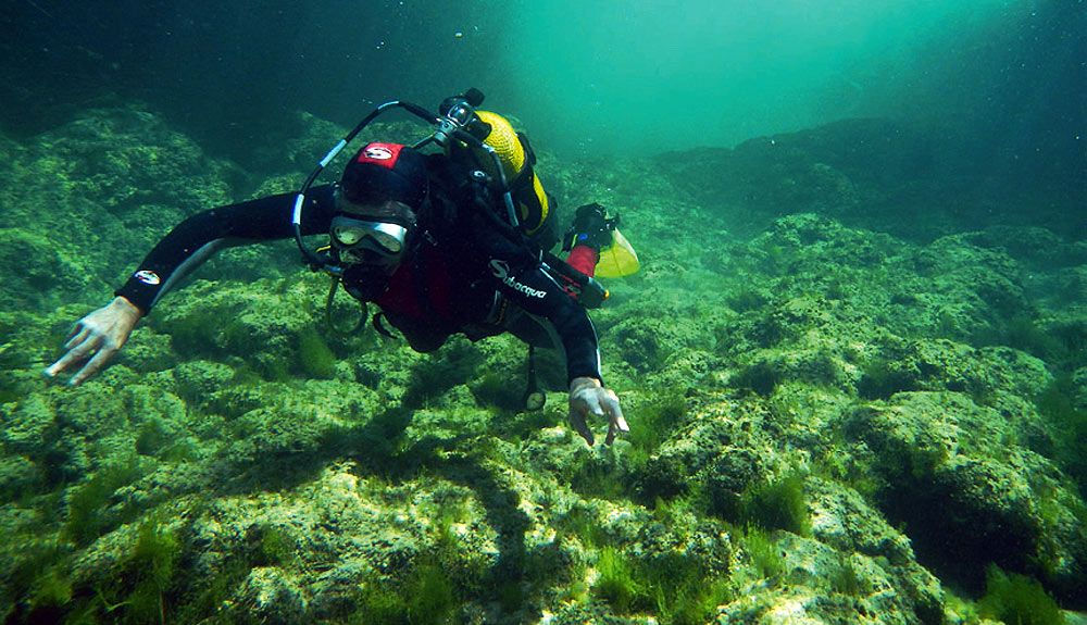 Alto Tajo: buceo en agua dulce