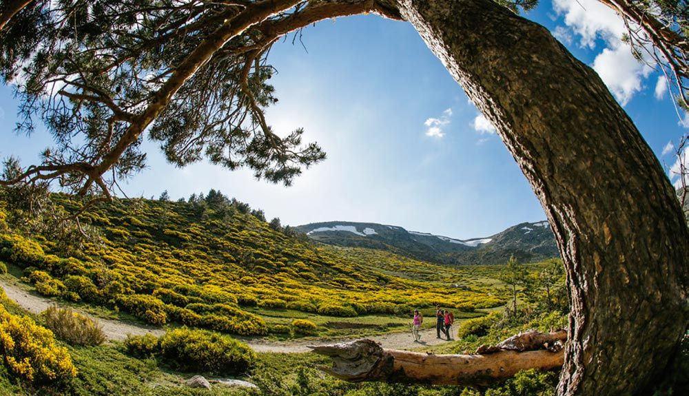 Alta Ruta de Guadarrama   3 ascensiones