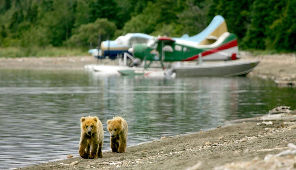 Alaska: riesgo y pasión en el aire