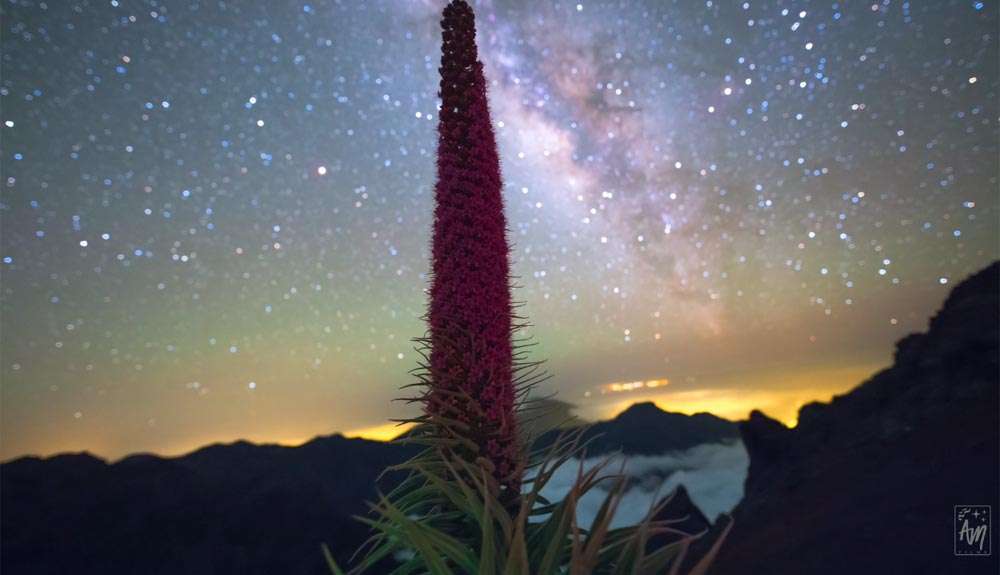 Puesta de sol en las Islas Canarias
