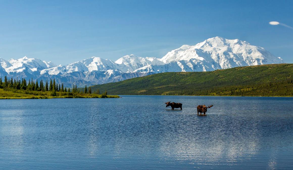Parque Nacional Denali, ¡ni te lo imaginas!