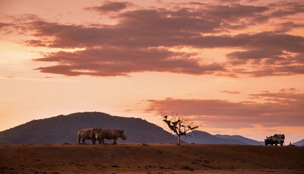 Parque Nacional de Kruger. 
