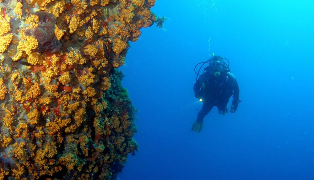 Joyas del buceo en la Comunidad Valenciana