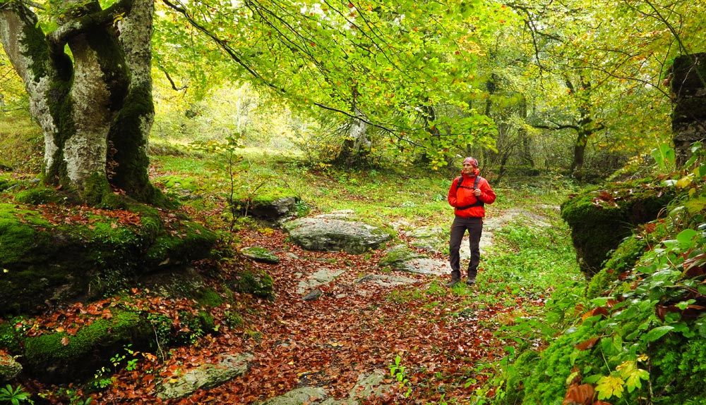 10 rutas otoñales