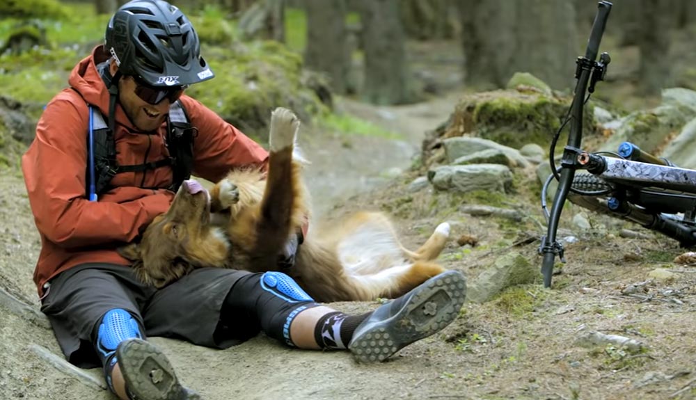 "Paws and Wheels", un homenaje a todos los perros aventureros