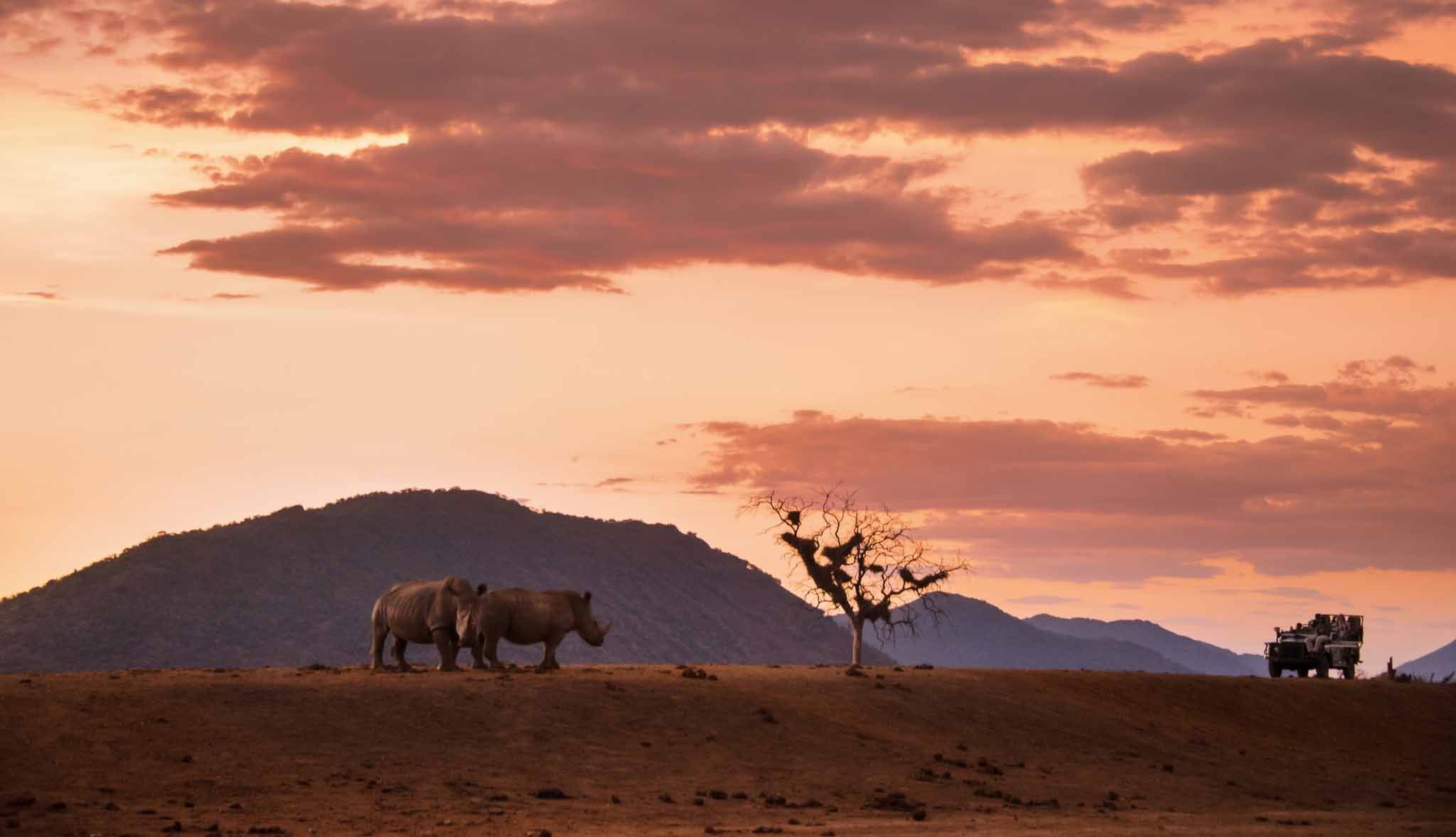  Viajes de eco-voluntariado en Sudáfrica