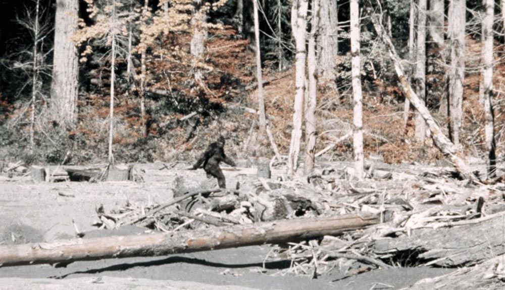 7 veces que dudamos sobre la existencia del Yeti