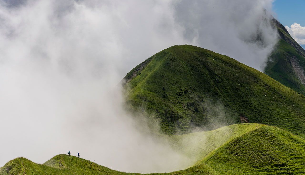 LIKE GREEN WAVES, por RALF GANTZHORN, Alemania    