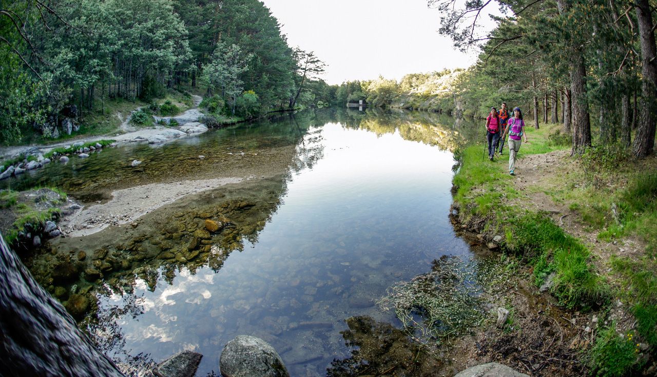 Presa Pradillo