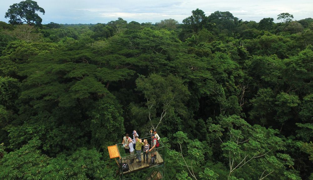 FOTOS: Wired Amazon