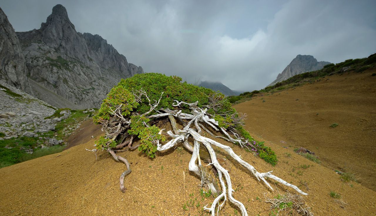 Babia: el paraíso verde