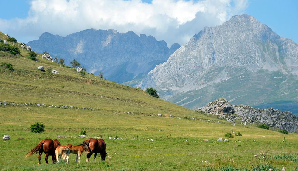 Babia: el paraíso verde