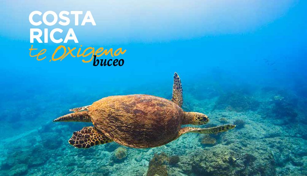 ¡Te llevamos a bucear a Cabo de Palos!