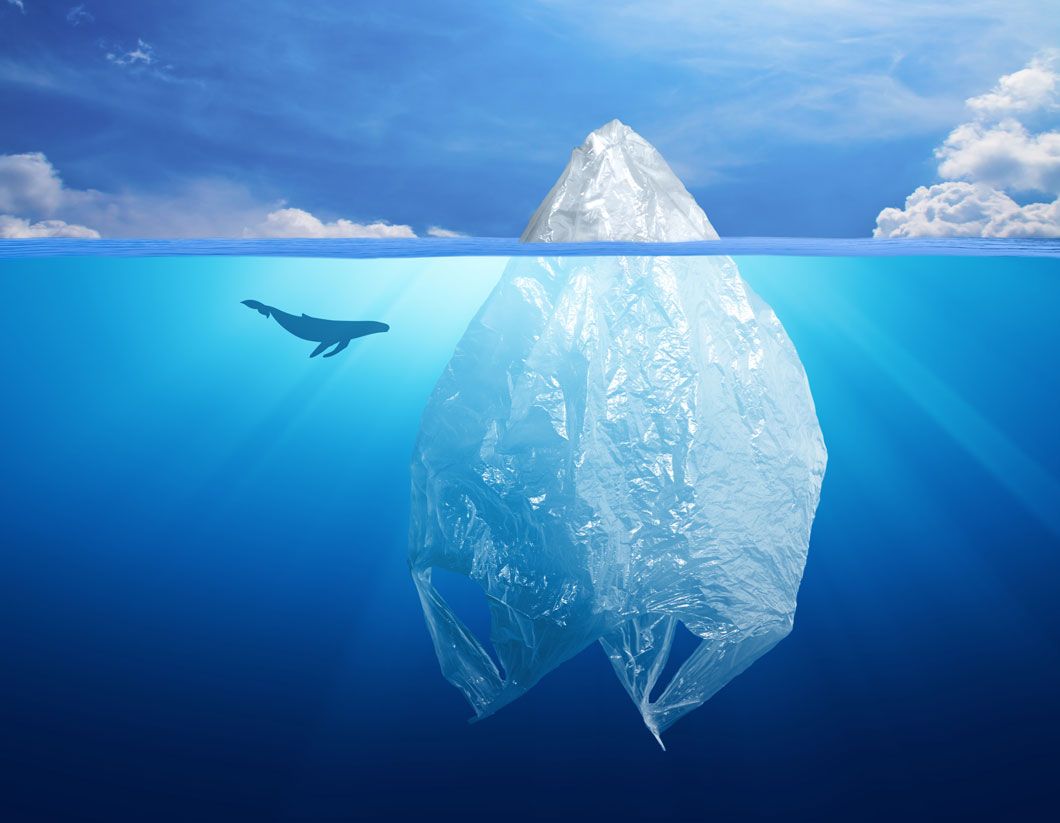 Cómo reducir nuestro impacto en la naturaleza 