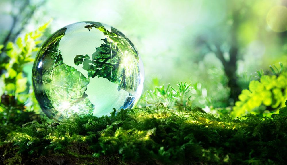 Voten por la naturaleza