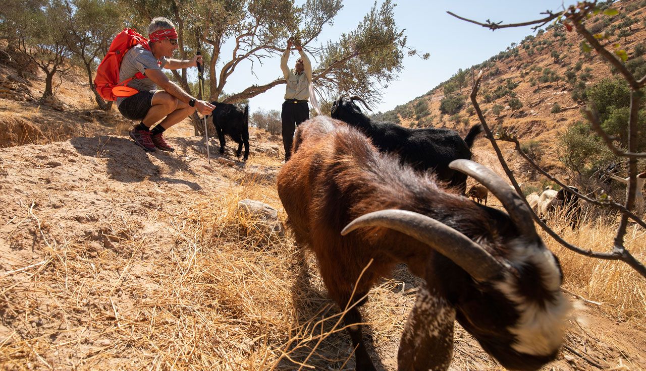 La magia del Jordan Trail