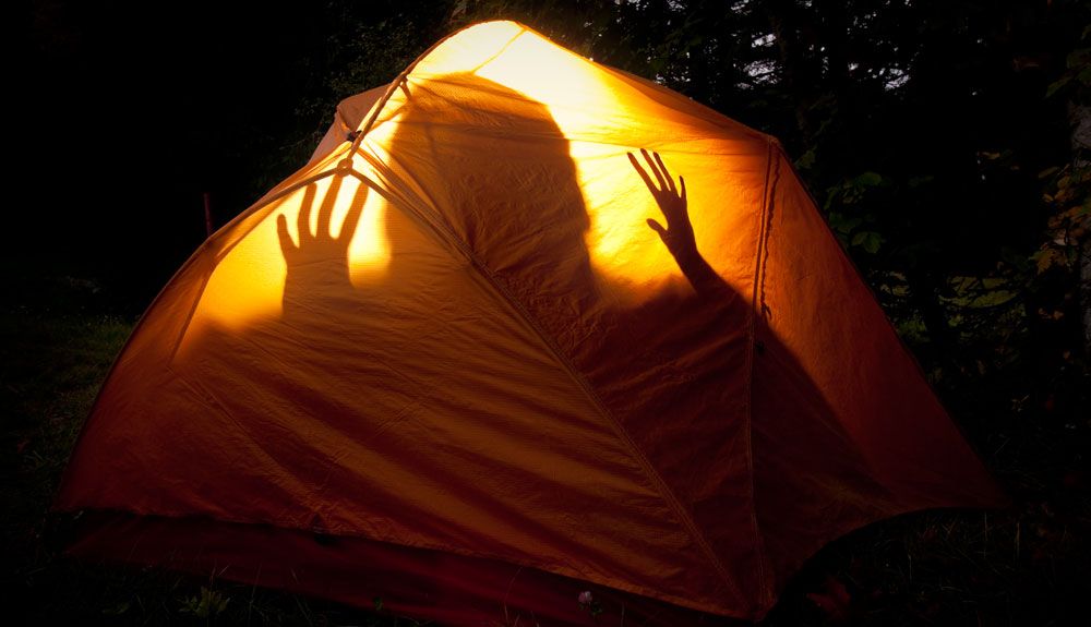 Terror en el campamento