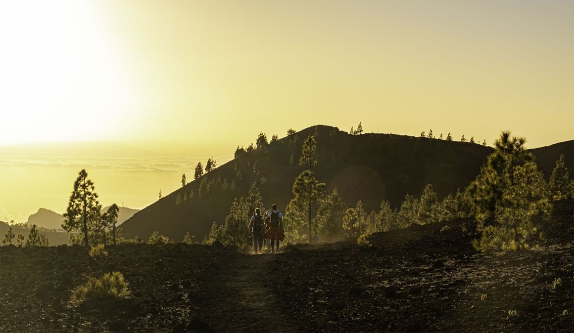 Tenerife Walking Festival en imágenes
