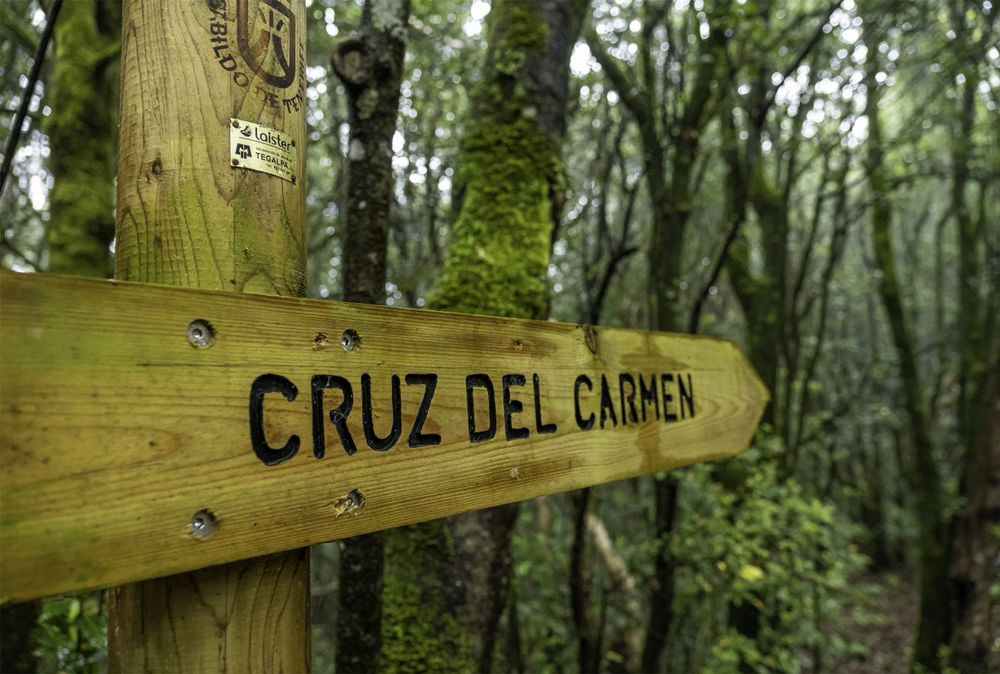 Tenerife Walking Festival en imágenes