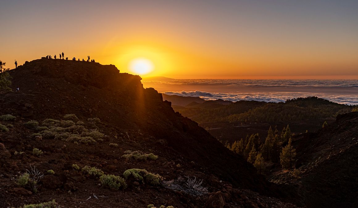 Tenerife Walking Festival en imágenes