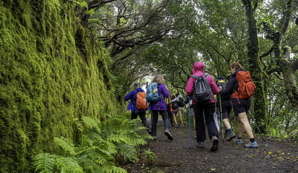 Tenerife Walking Festival en imágenes