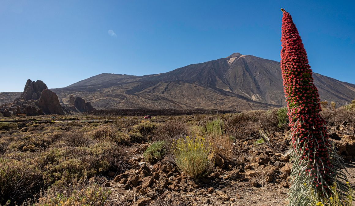 Tenerife Walking Festival en imágenes