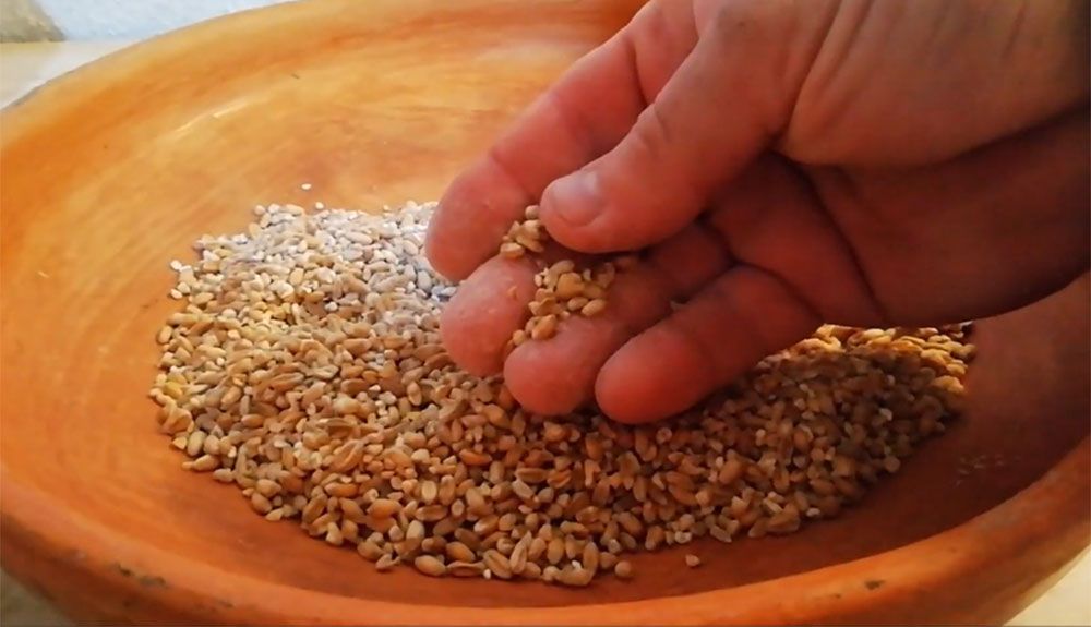 Recetas para conservar tus alimentos: gofio casero