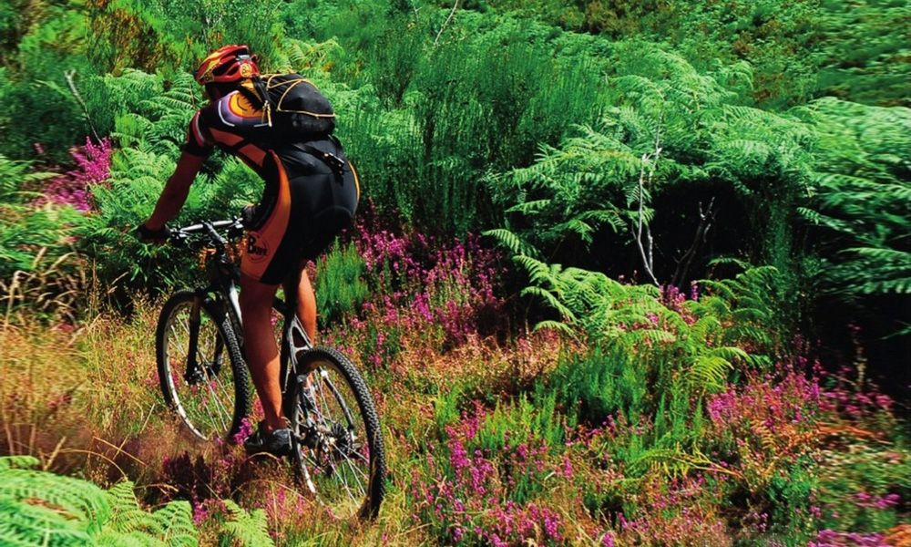 La Transcantábrica en mountain bike