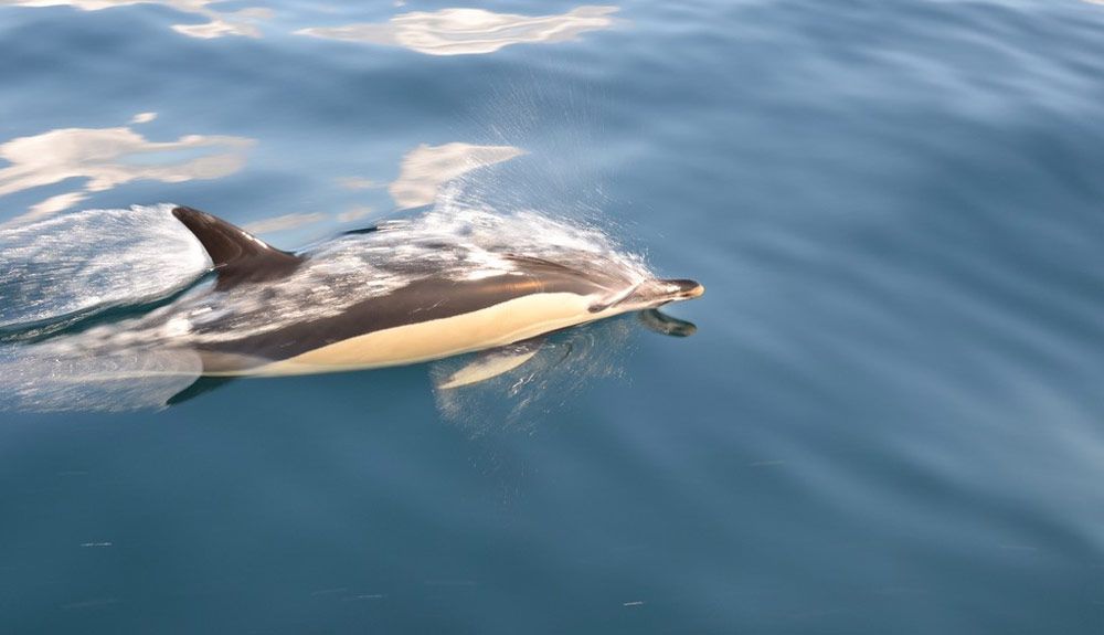 9 joyas outdoor para la Algarve Nature Week