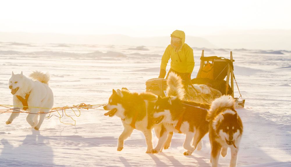 4.000 kilómetros en trineo de perros por Baffin
