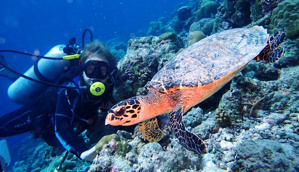 Material necesario y complementario para el buceo en Maldivas Material necesario y complementario para el buceo en Maldivas