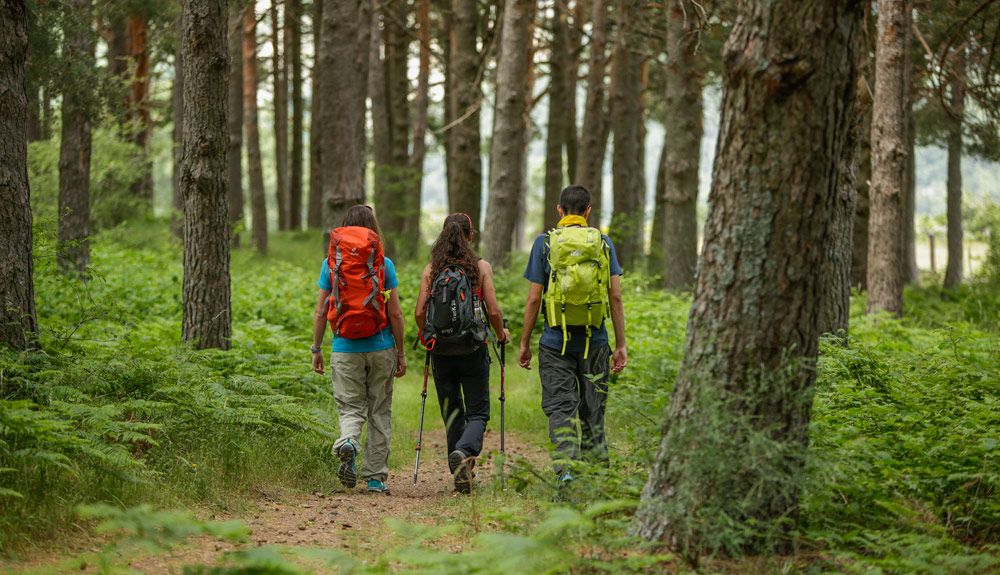 ¿Quieres hacer la Alta Ruta Guadarrama?