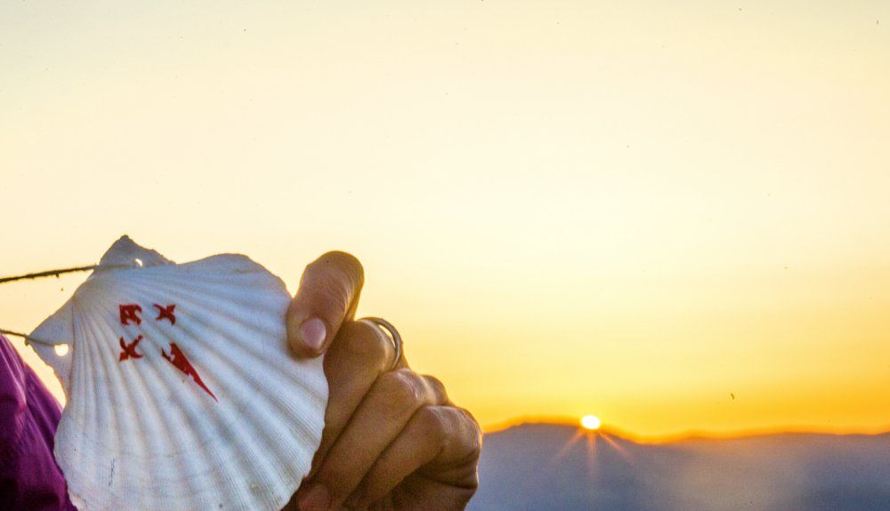 Todo lo que necesitas saber sobre el Camino de Santiago