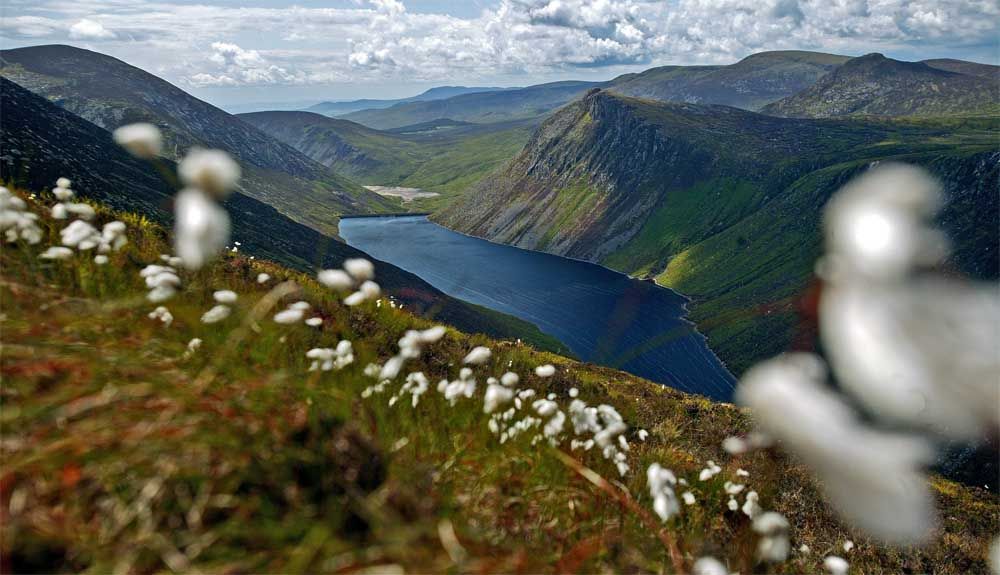 3 + 1 motivos para escaparse a Irlanda este invierno