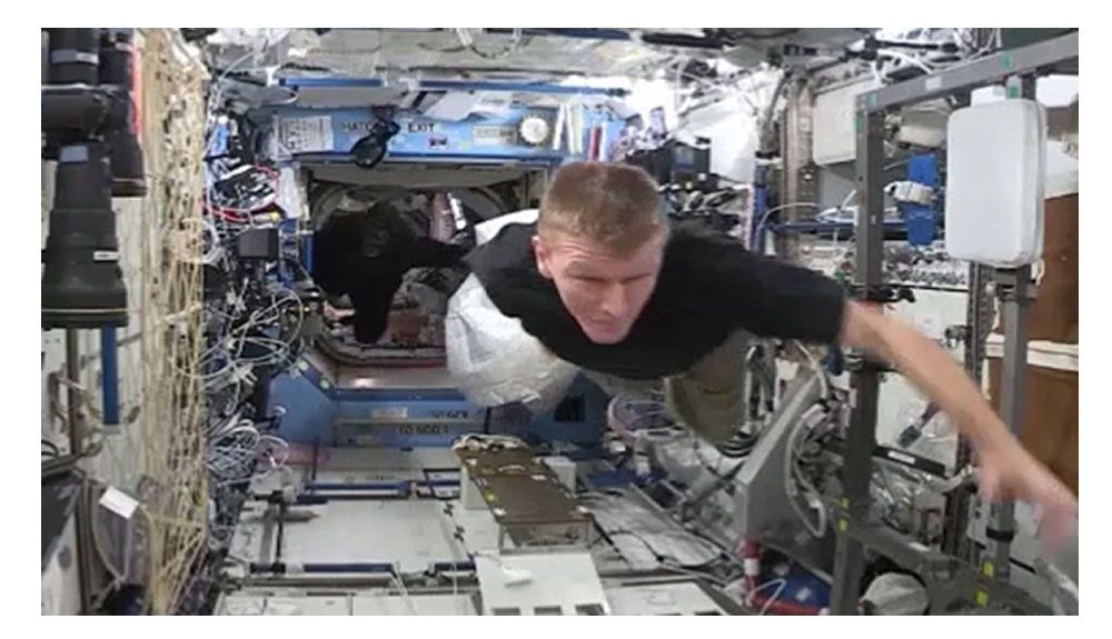 La Estación Espacial Internacional atacada... por un gorila