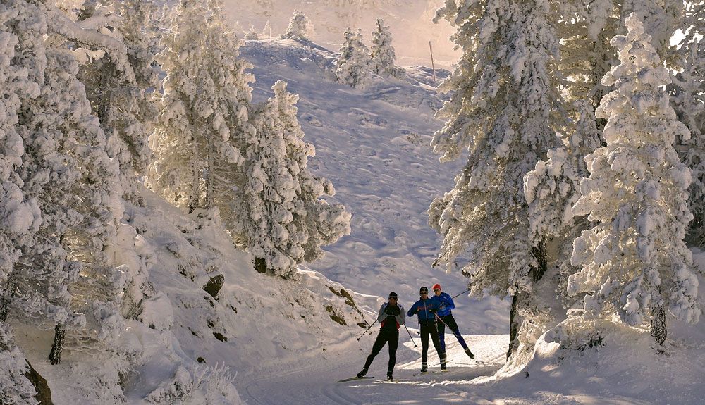 Esquí nórdico y raquetas de nieve en Navarra