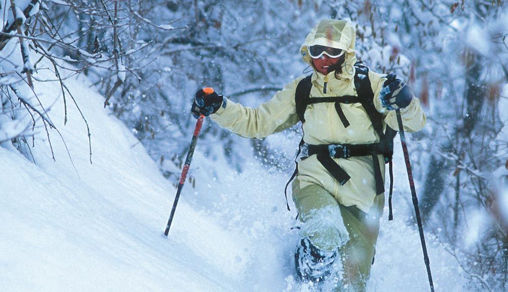 Esplendor en la nieve: raquetas en los Valles de Arán y de Boì