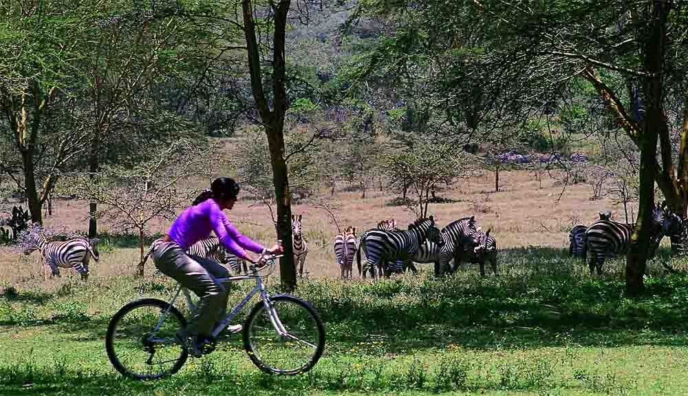 10 planes outdoor en Kenia