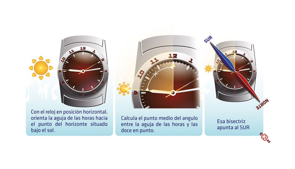 Orientación: encuentra el Sur