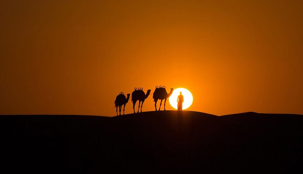 De Mongolia al mar Caspio con camellos