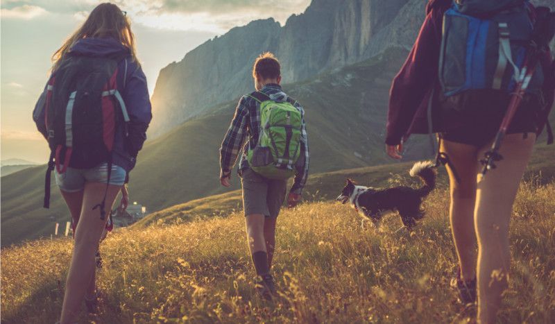 5 consejos para elegir tus zapatillas de senderismo