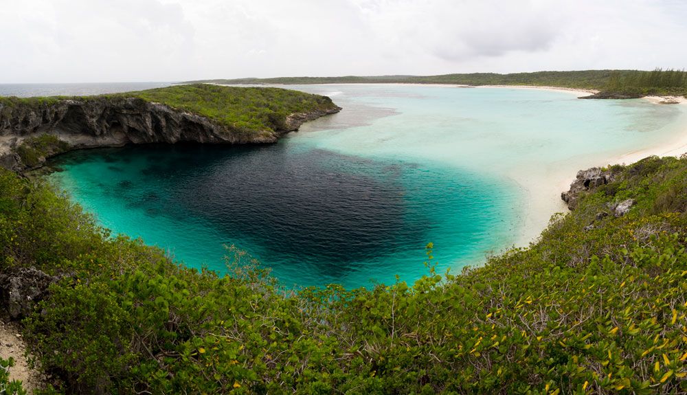 3 inmersiones esenciales en las Bahamas