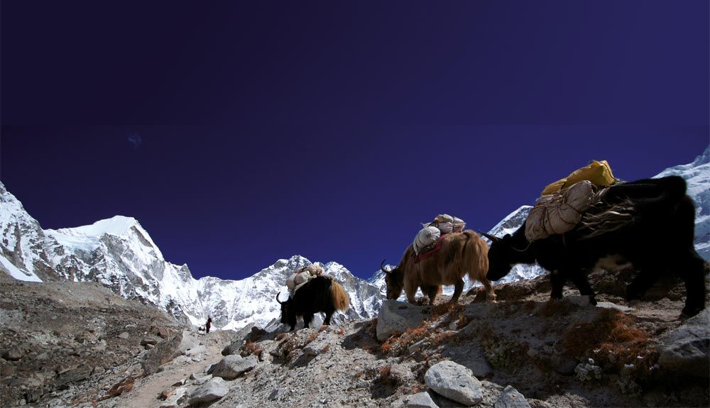 Prepara tu equipaje para el Himalaya